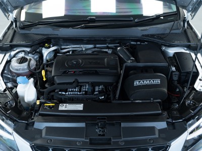 Seat Leon Cupra 290